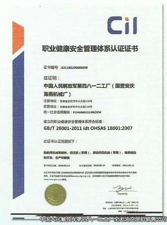 職業(yè)管理體系認(rèn)證證書(shū)